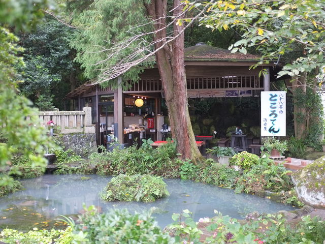 kijimunar̔\ƂĂ@̓eʐ^1