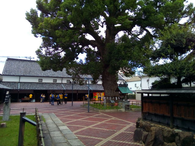 ���_�؂̓�؂����т��钆��_���˂̋�