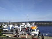 ȂȂ̊CVD͂ЂۃCJEɓ}^E̓eʐ^1