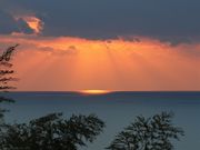 Ƃ񂳂̑勴̓eʐ^3