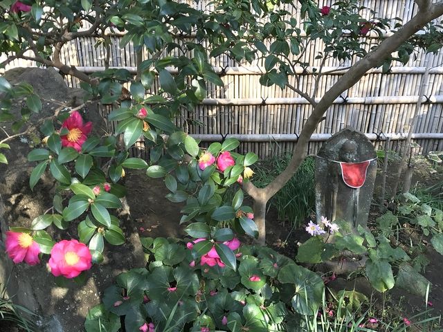 ���������n���l�ƒ�_�����