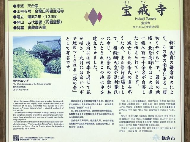 ������_�����