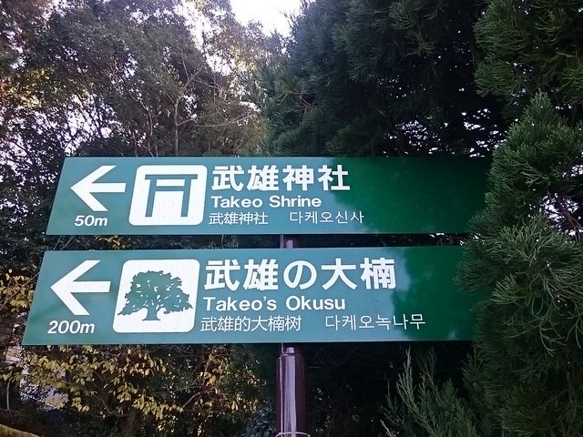 �����Ƒ�������܂�_���Y�_�Ђ̔�O����