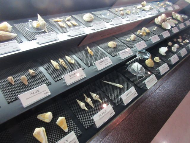 ߂̂₳̐^ߒLޔق̓eʐ^1