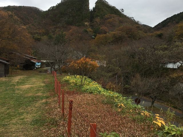 �����܂��Ă܂����B_���n���R���