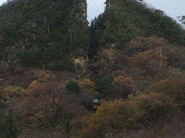 �����ɂ���Ă͍g�t���Y�킾�Ǝv���܂�
_���n���R���