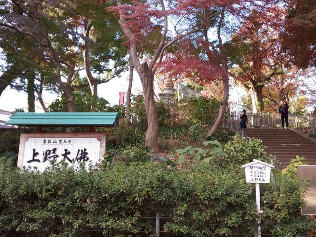 �����̏�ɏオ���_���啧