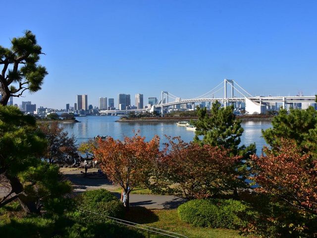 �����C�l����_�����C�l����