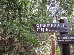 森林浴遊歩道の口コミ一覧 じゃらんnet