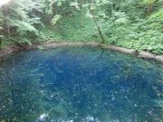 ɂǂ񂳂̏\΃rW^[Z^[̓eʐ^1