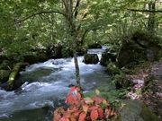 ɂǂ񂳂̉kق̓eʐ^1