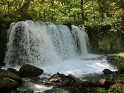 ɂǂ񂳂̉kق̓eʐ^3