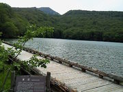 �ɂ��ǂ񂳂�̒Ӗ쒹�̐X�ώ@�H�̓��e�ʐ^2