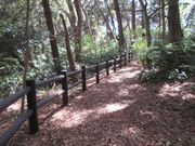 ߂̂₳̌^ߔR̓eʐ^1