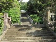 ߂̂₳̋MD_Ђ̓eʐ^1