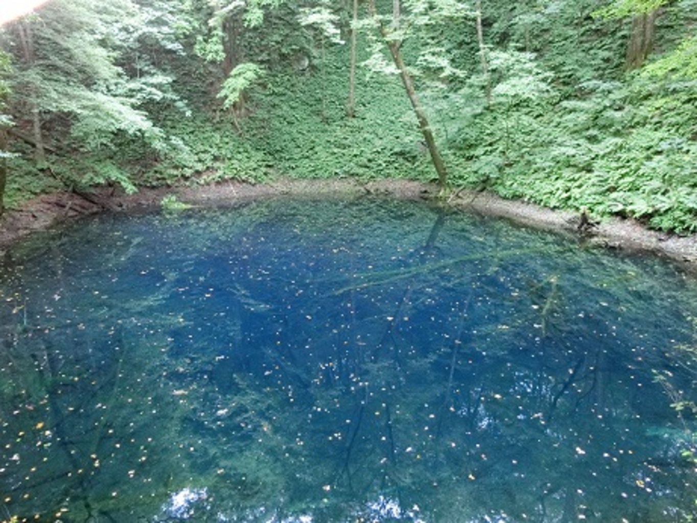 深浦町 西津軽郡 のご当地グルメランキングtop10 じゃらんnet