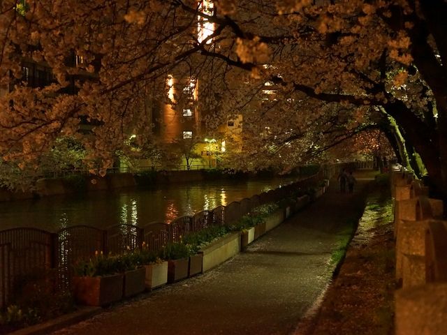 ��̓V�_���������B
�l�����Ȃ��A������w�ɂ͂����Ă��ł��B_�V�_��������