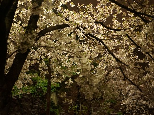 ��̓V�_���������B
�l�����Ȃ��A������w�ɂ͂����Ă��ł��B_�V�_��������