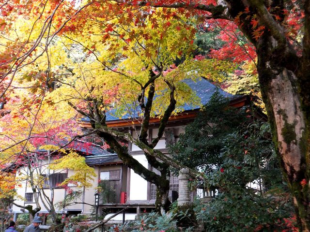 明寿院(金剛輪寺本坊)