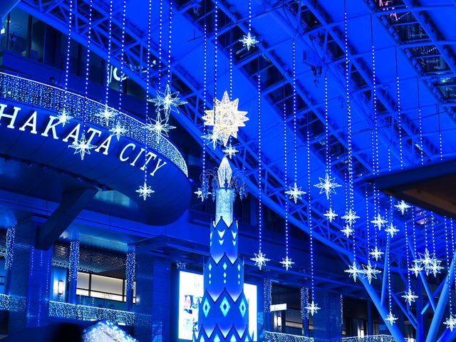 �����w�̃C���~�l�[�V�����͂ƂĂ����ꂢ�ł��B_�����w