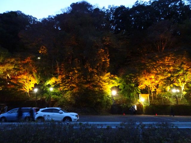 �g�t���C�g�A�b�v_�{�V�k�J