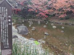 kuriyumi����̑剁��(���ΐ��y��)�ւ̓��e�ʐ^1