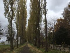 sato̖k|v؂ւ̓eʐ^1