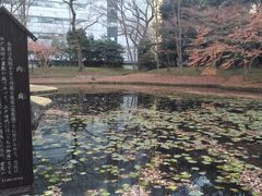 kuriyumi̓iΐyjւ̓eʐ^1