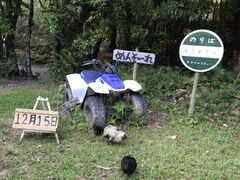 䂫񂳂̃o`[ւ̓eʐ^1