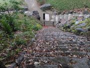 kuriyumïiΐyj̓eʐ^1