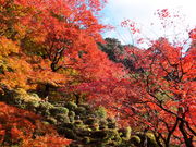 ڂ炳̋֎݂̂Ȃǂ̓eʐ^1