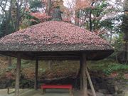 kuriyumi̊ۉiΐyj̓eʐ^1