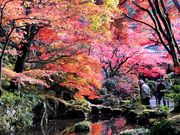 ڂ炳̋֎݂̂Ȃǂ̓eʐ^1