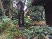 kuriyumi̓m(ΐy)̓eʐ^1