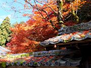 ڂ炳̋֎݂̂Ȃǂ̓eʐ^1