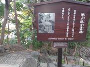 kuriyumi����̐����ω����Ձi���ΐ��y���j�̓��e�ʐ^1