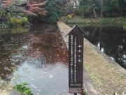 kuriyumi̐΂̒iΐyj̓eʐ^1