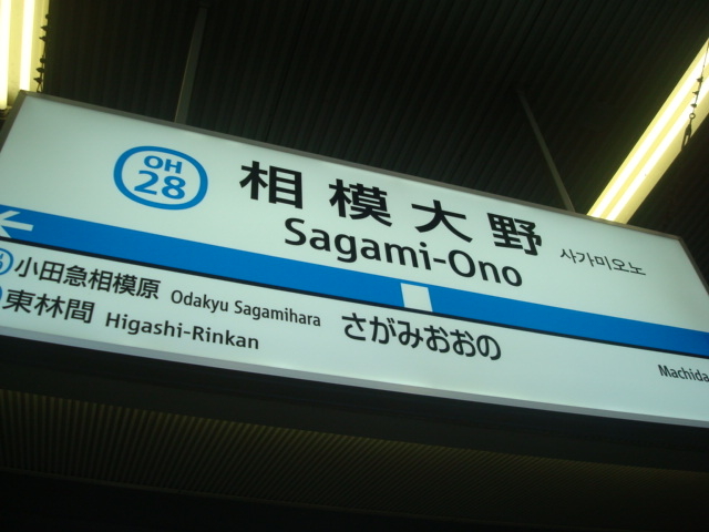 �w���̊Ŕ�_���c�}�d�S���͑��w