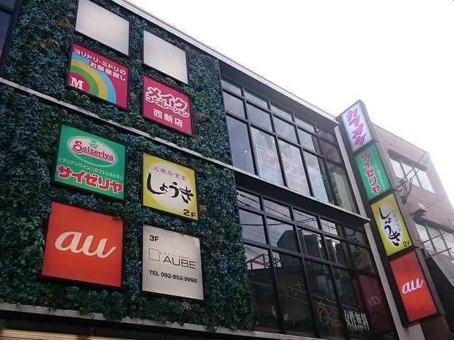 Oς͔hł_TC[ VPLACEX