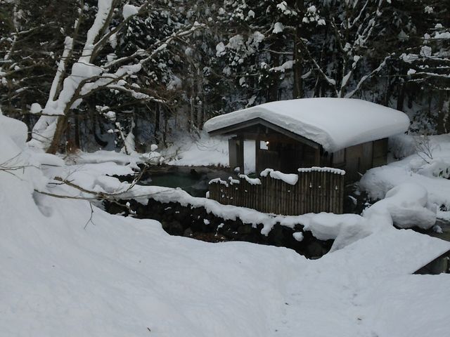 �����O�Ɍ������Ⴄ��I�V����_�I�ꉷ��i�������򋽁j