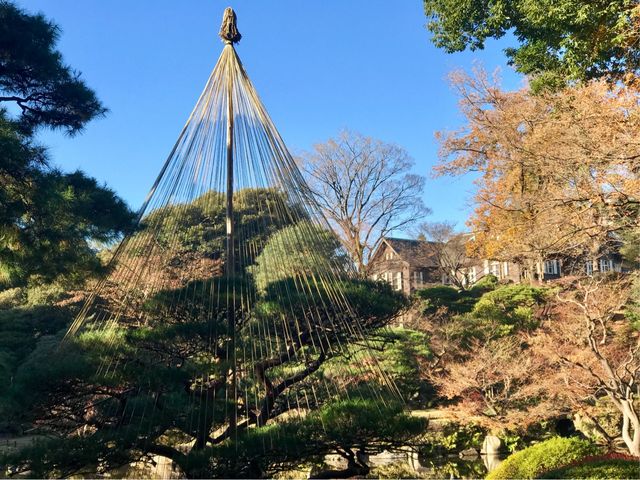 �y���É͒뉀�z��݂�̓��{�뉀�Ɖ��i�ɗm��_���É͒뉀