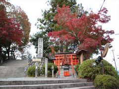 jkammy07̑{R@Rւ̓eʐ^1