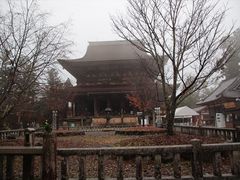 jkammy07̑{R@Rւ̓eʐ^2