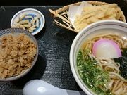 ܂܂̔\Âǂ {X̓eʐ^1