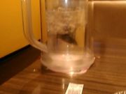 ̃S[S[J[ 胂A[YX^WAiGO!GO!CURRYj̓eʐ^2