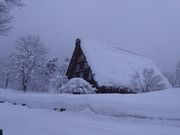 ΂₵̔싽oX^[~i̓eʐ^1