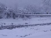 ΂₵̔싽oX^[~i̓eʐ^2