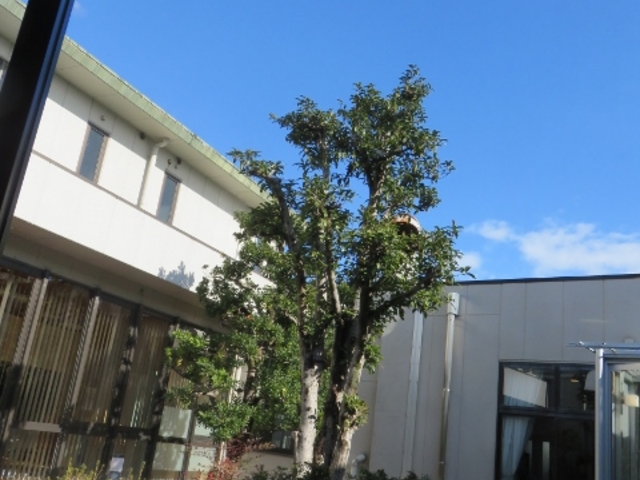 �i�F_��������