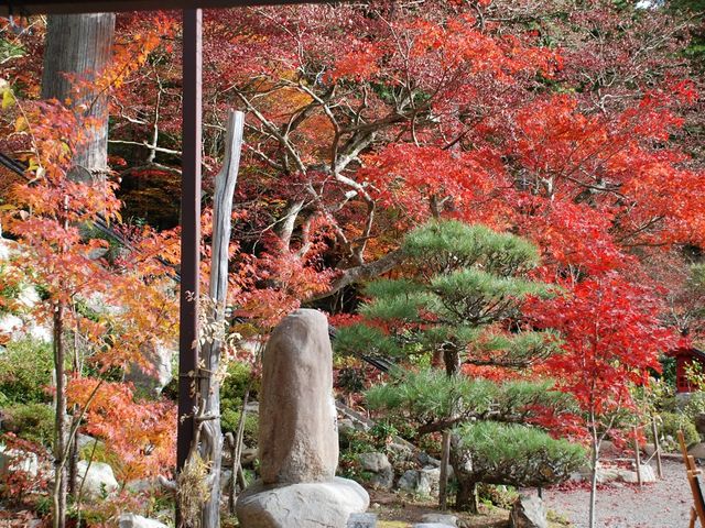 ���X���狫����]��_�嚠��