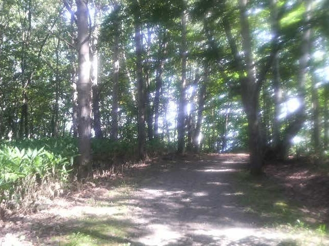 �t�������
_�t�������